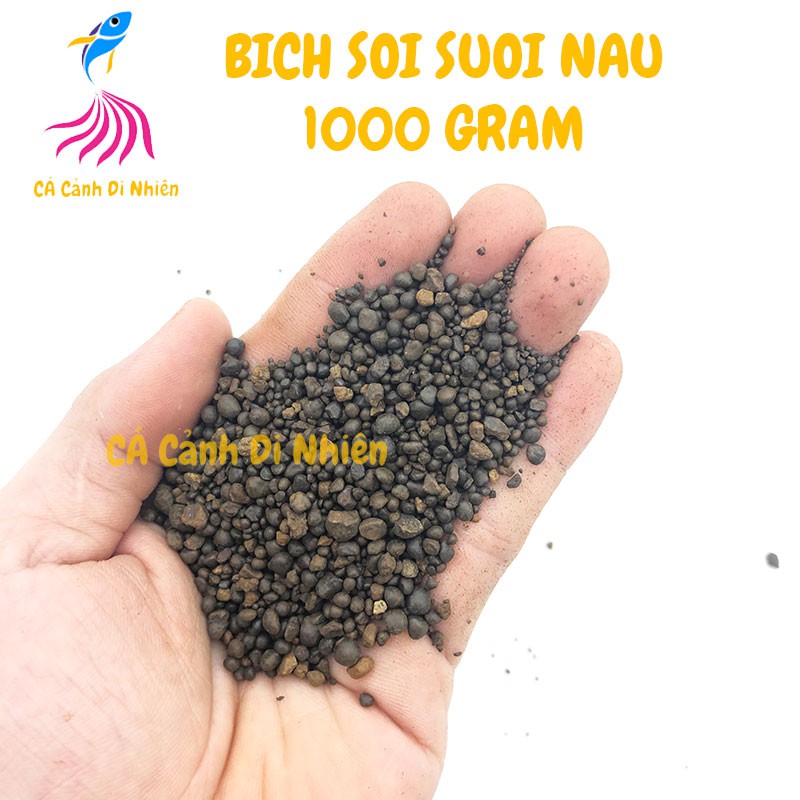 Bịch sỏi SUỐI NÂU hạt tròn 1 KG trang trí hồ cá cảnh