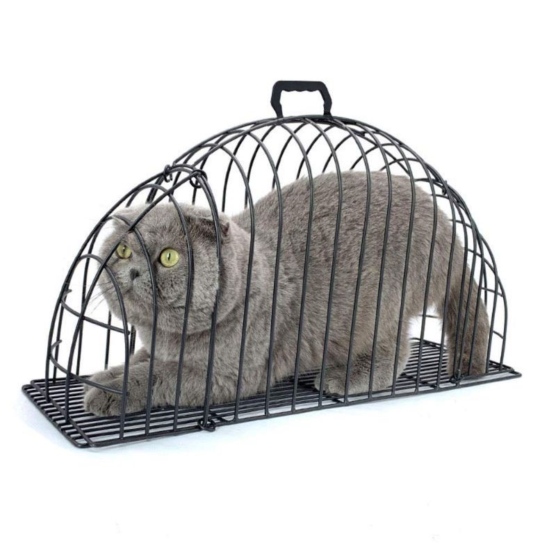 Lồng tắm sấy cho chó mèo