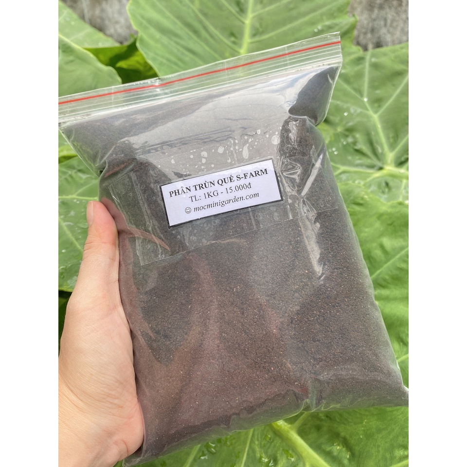 Phân Trùn Quế Sfarm | Dinh Dưỡng Vượt Trội Cho Cây Trồng | Mocminigarden