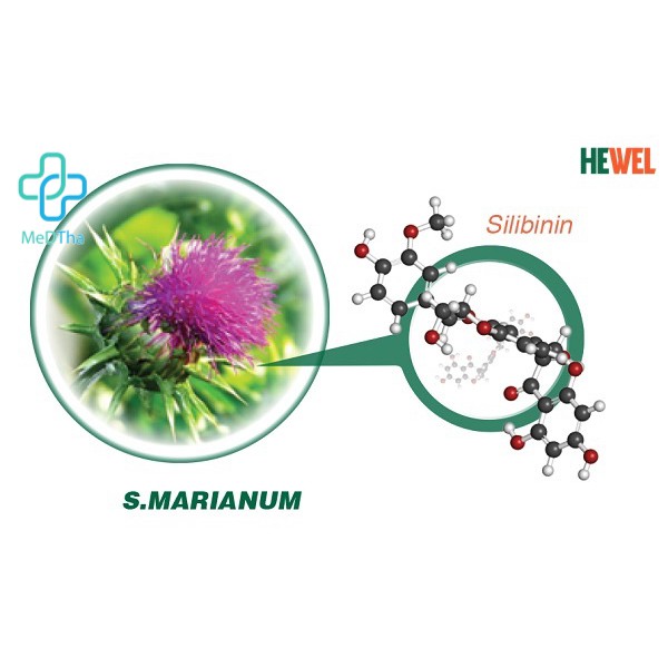 HEWEL (Ecogreen) - Tăng cường Giải độc, Chống độc, Bảo vệ gan [Chính Hãng]