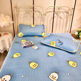 Chiếu điều hòa Tencel 1,8x2