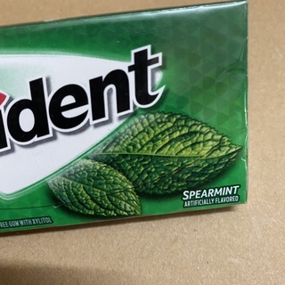 [14 Tép x1,9g][Bạc Hà]Vỉ Kẹo Cao Su Trident