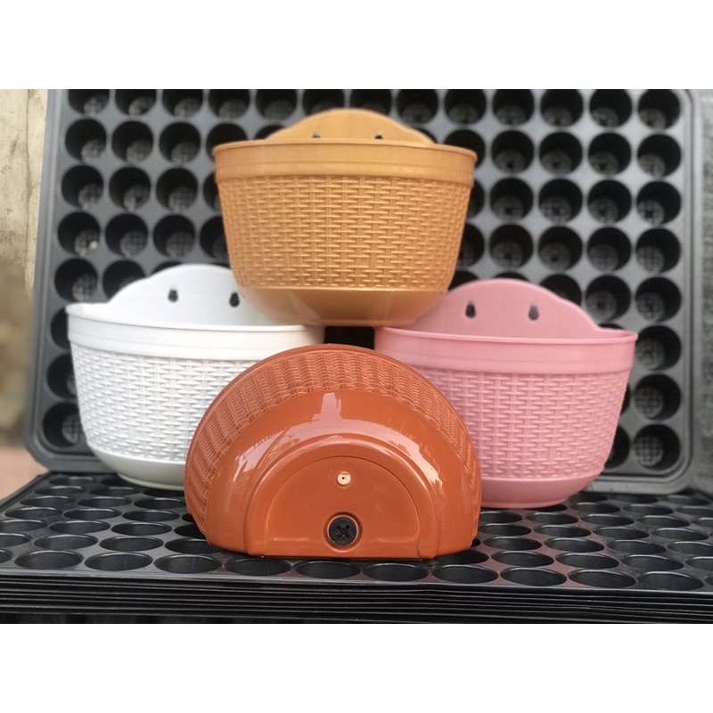 Combo 2 chậu ốp tường giả mây size 20cm