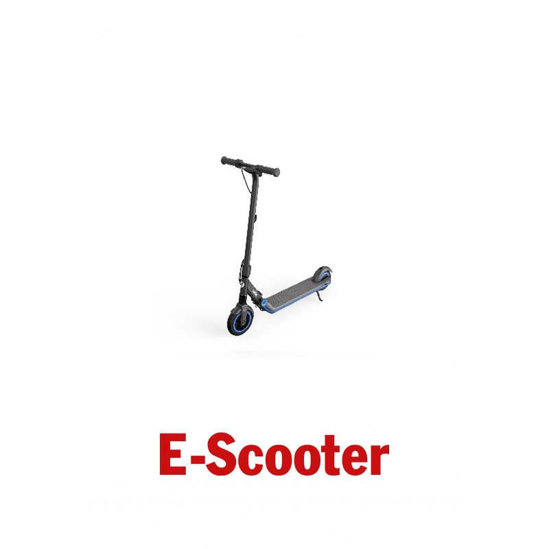 Xe Điện Scooter Segway Ninebot E10
