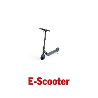 Xe Điện Scooter Segway Ninebot E10
