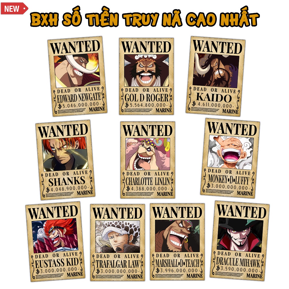 Tờ truy nã One Piece, Poster One Piece Wanted Anime Manga Nhân Vật Nổi Tiếng Được Yêu Thích, Kích cỡ A4 210x297mm