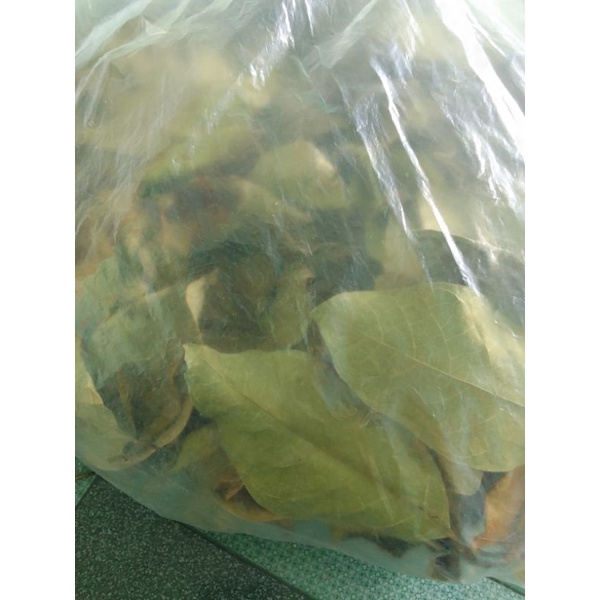 Lá chay khô 100g