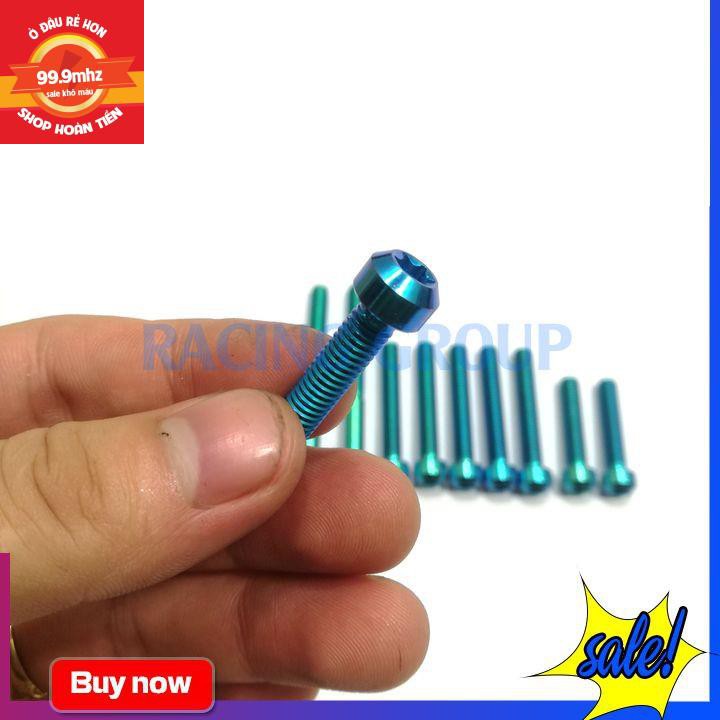 Bộ ốc lốc máy Vario GR5 (10 con 2 con 6li65, 4 con 6li30, 4 con 6li40)