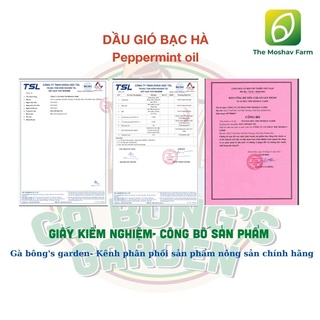 Dầu gió bạc hà mát dịu thông mũi giảm say xe the moshav farm hộp 2 chai 7ml - ảnh sản phẩm 7