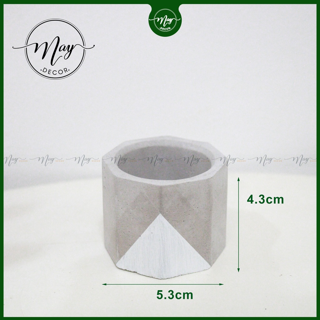 Cây thật, Chậu xi măng, xương rồng tai thỏ mini