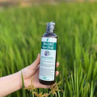 Dầu gội thảo dược