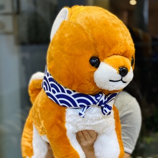 Lô gấu bông chó shiba và corgy.