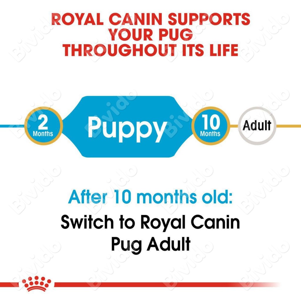 Thức ăn Royal Canin Pug Puppy chó con Pug dưới 10 tháng túi 1.5kg - Bivido