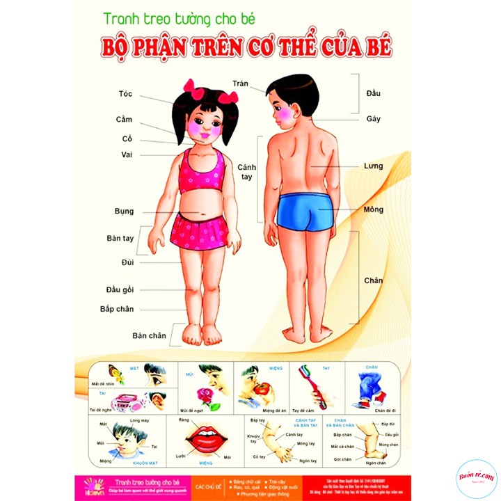 BỘ 6 TRANH TREO TƯỜNG CHO BÉ KHÁM PHÁ THẾ GIỚI XUNG QUANH 14 CHỦ ĐỀ - 00168