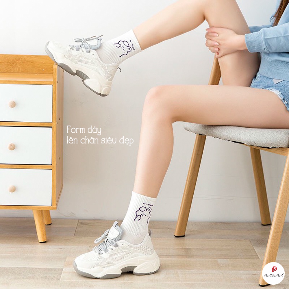 Tất cổ cao nữ chất liệu cotton, set 5 đôi vớ nữ họa tiết hoạt hình dễ thương - Cherry Shop