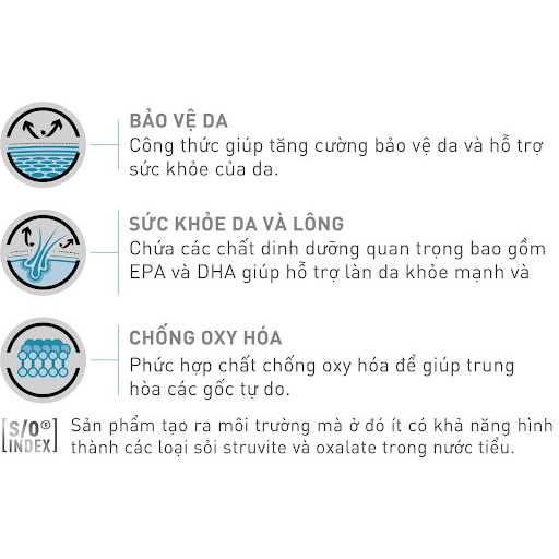 400gr - Hạt Skin &amp; Coat ROYAL CANIN cho mèo có da nhạy cảm, hỗ trợ cải thiện viêm da và rụng lông giúp lông sáng bóng