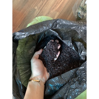 Gạo Lứt đen Điện Biên 1kg