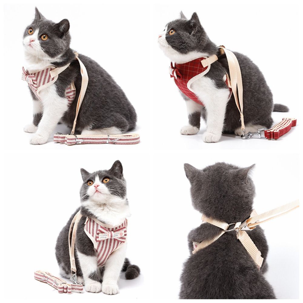 Dây dắt thú cưng đi dạo mềm mại thoáng khí có thể điều chỉnh nhiều màu sắc