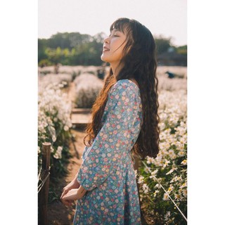 Pass đầm cúc họa mi shop là hoa 🌺🌺