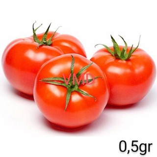 Hạt giống cà chua f1