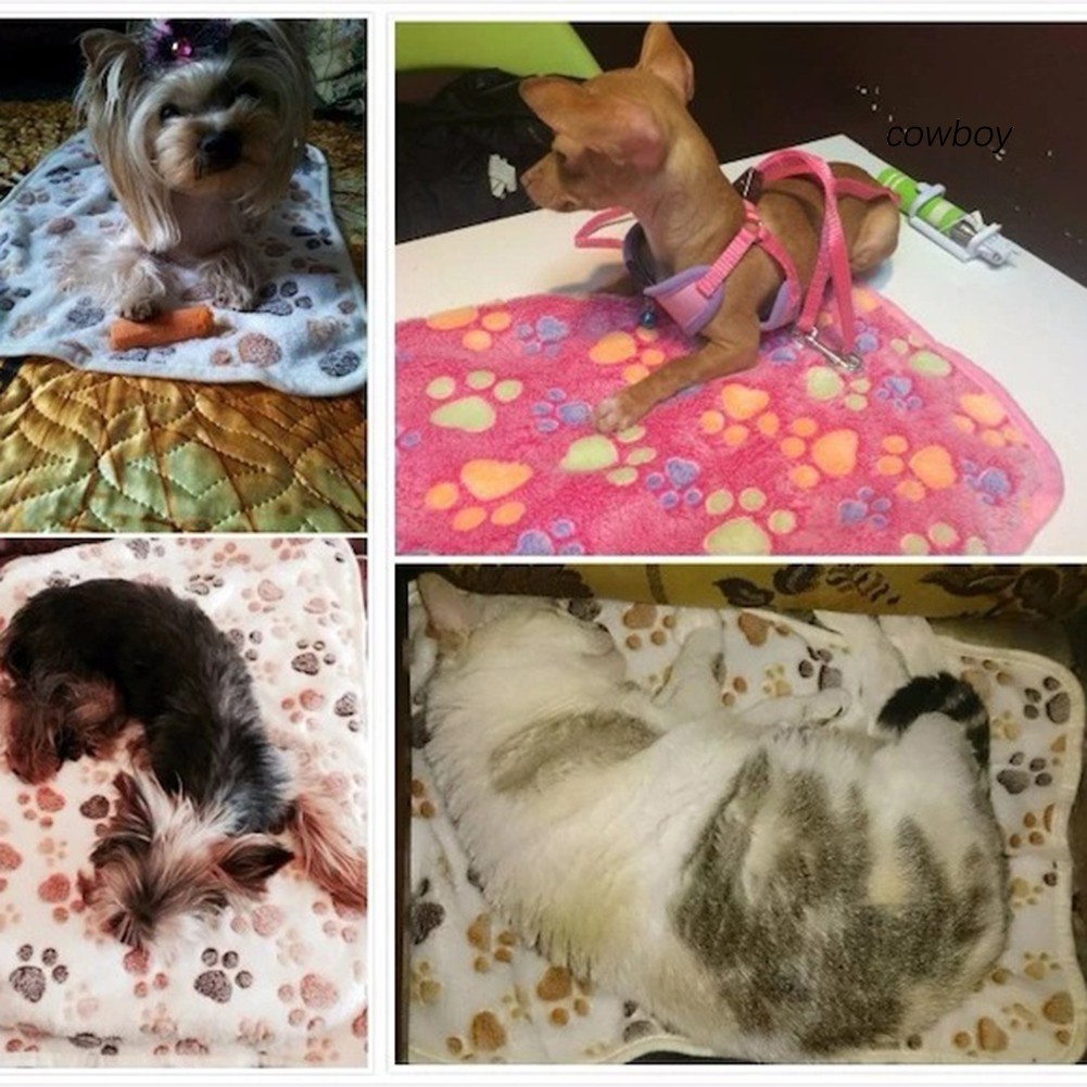 Thảm ngủ giữ ấm in họa tiết bàn chân chó mèo dễ thương cho thú cưng 40x60cm  - Lida Pet Shop
