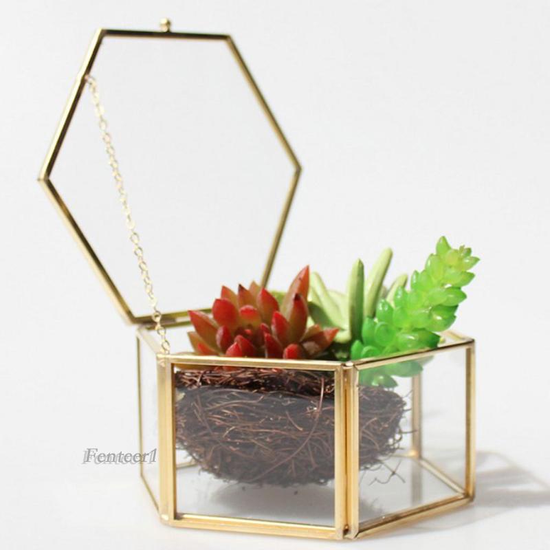 1 Chậu Trồng Cây Thủy Tinh Hình Lục Giác Bằng Đồng Thau Kích Thước 14X14Cm Dùng Trang Trí Tiệc Cướ