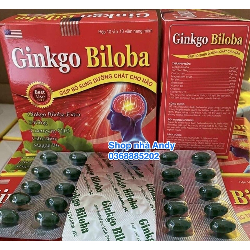 Ginkgo Biloba 240mg Bổ Sung Dưỡng Chất Cho Não Hộp 100 viên