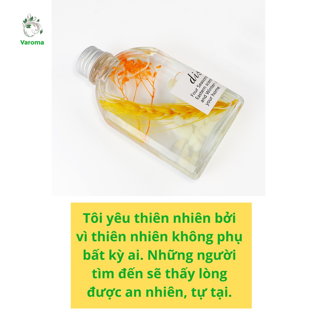 Lọ Khuếch Tán Tinh Dầu Thơm Phòng WIACHNN Tặng Kèm 5 Que Khuếch Tán Phát Sáng Ban Đêm Hương Thơm KT09