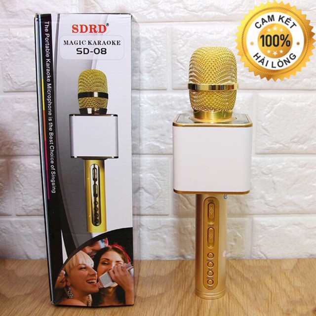 Mic Karaoke Kèm Loa Bluetooth SD-08