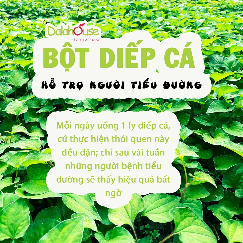 Bột rau diếp cá Dalahouse 150g nguyên chất hữu cơ, công nghệ sấy lạnh Châu Âu