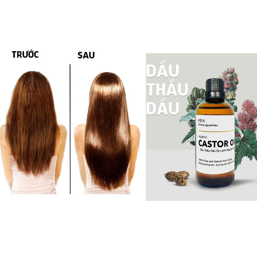 [Giao Nhanh] Dầu Thầu Dầu (castor oil) Organic Nguyên Chất 100ml dưỡng phục hồi tóc | BigBuy360 - bigbuy360.vn