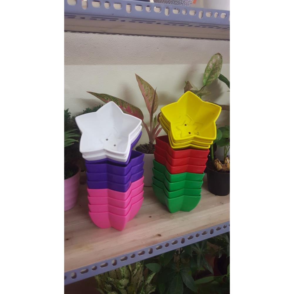 (RẺ VÔ ĐỊCH) Chậu nhựa hình sao, siêu đáng yêu KT 12x6cm