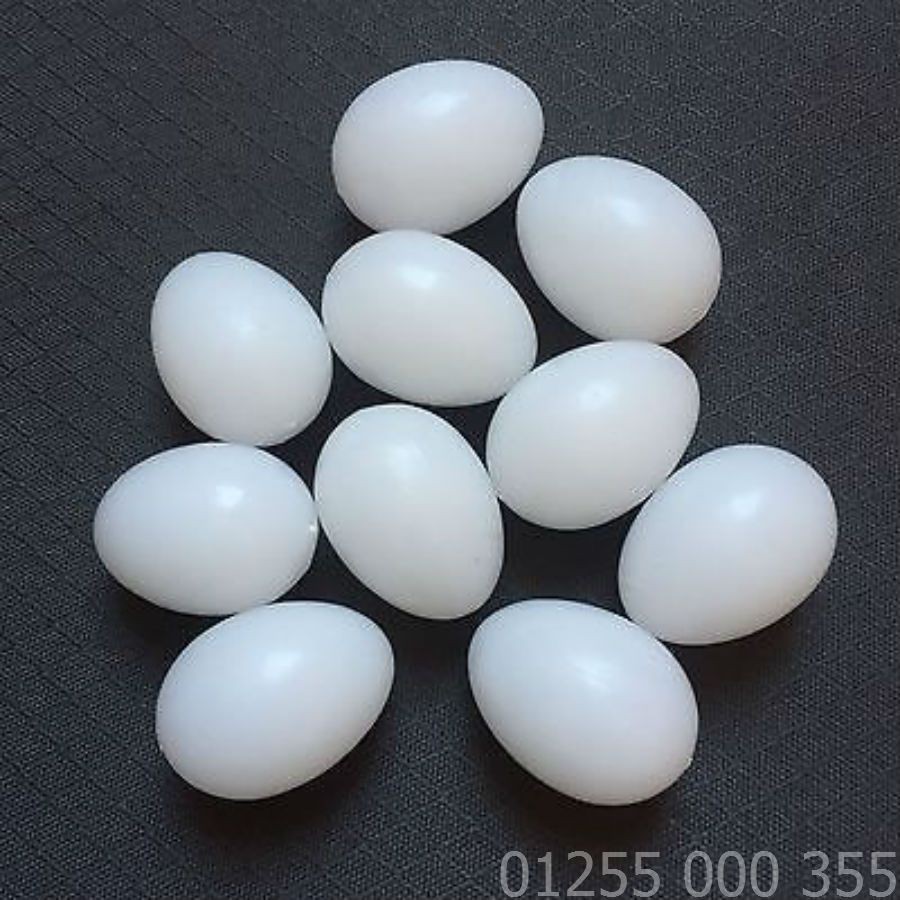 10 Quả Trứng Bồ Câu Nhựa.