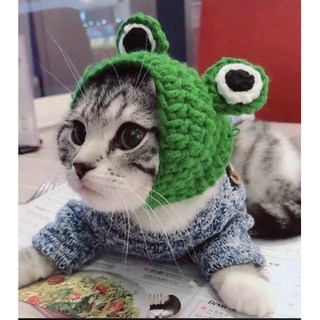 Băng đô cài tóc ếch xanh
