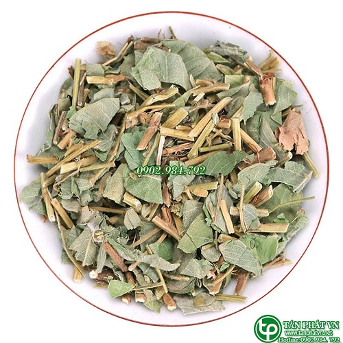 Kim tiền thảo sấy khô - Tấn Phát