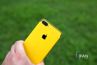 Skin Dán Iphone Màu Vàng