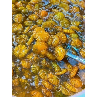 TẮC XÍ MUỘI HOA  ĐƯỜNG PHÈN hủ 1kg