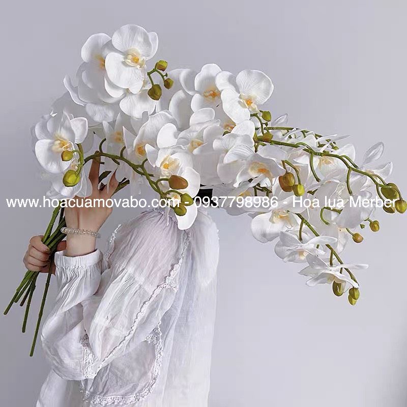 Cành Lan Hồ Điệp 9 Bông 3D Cao Cấp MerBer Dài 100cm