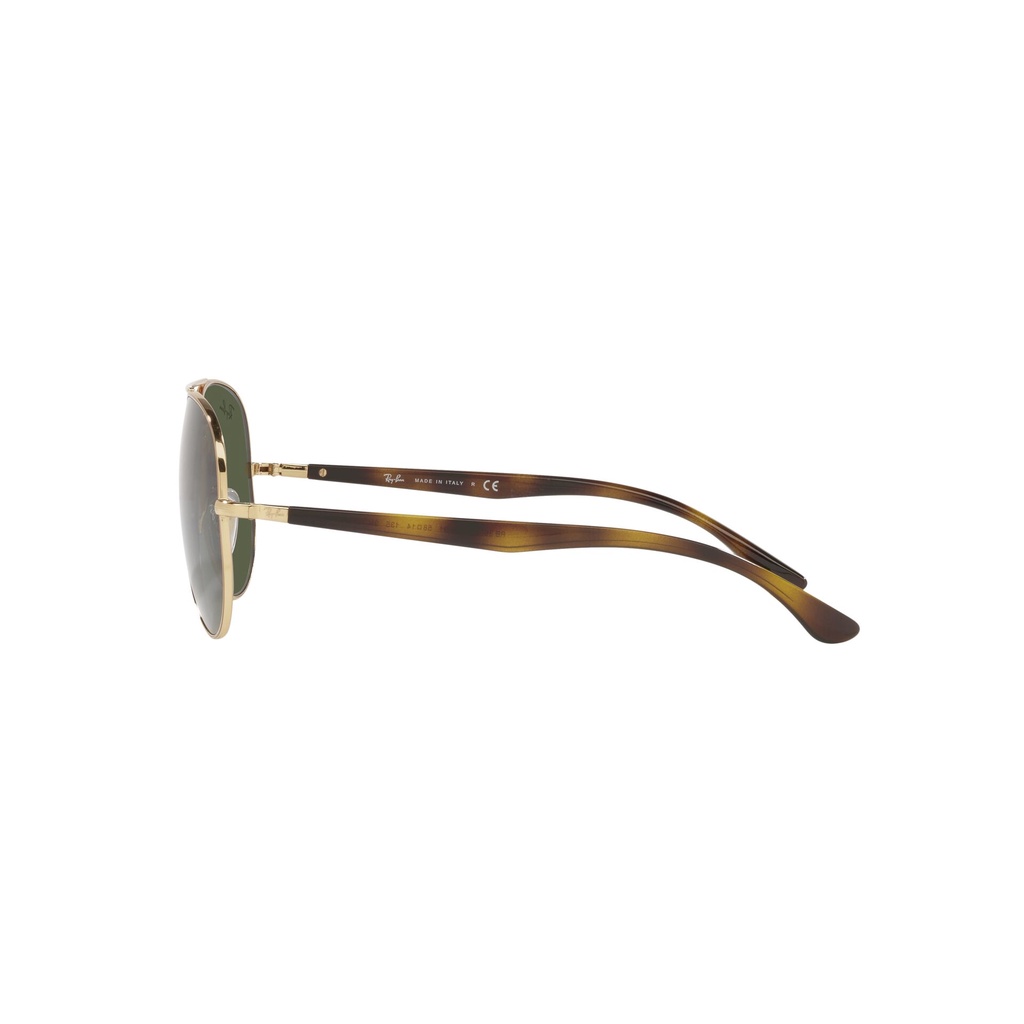Mắt kính RAY-BAN - RB3675 001/31 - Kính mát