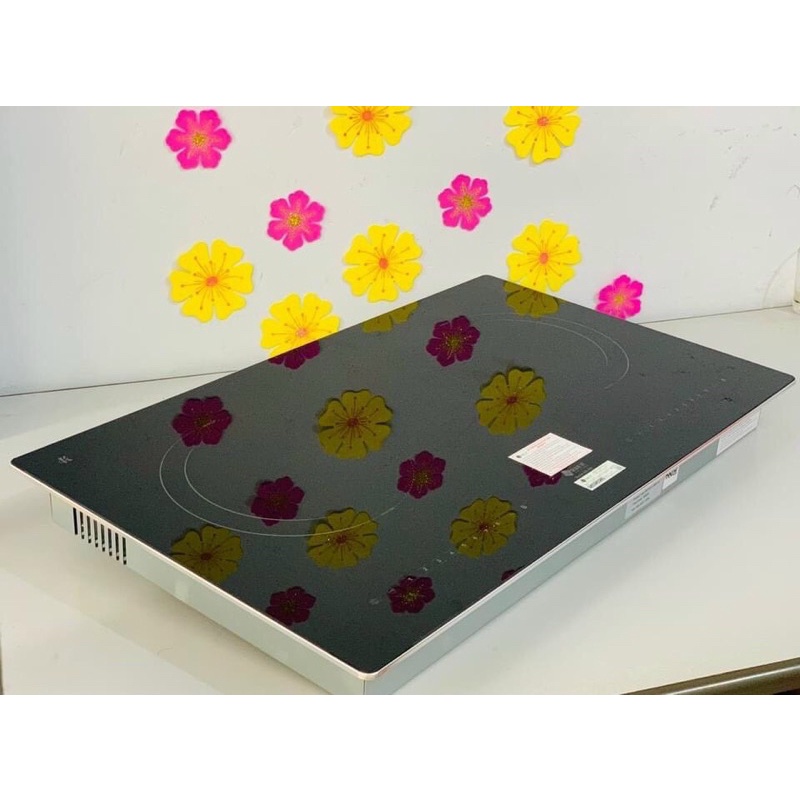 bếp từ đôi ARBER AB668