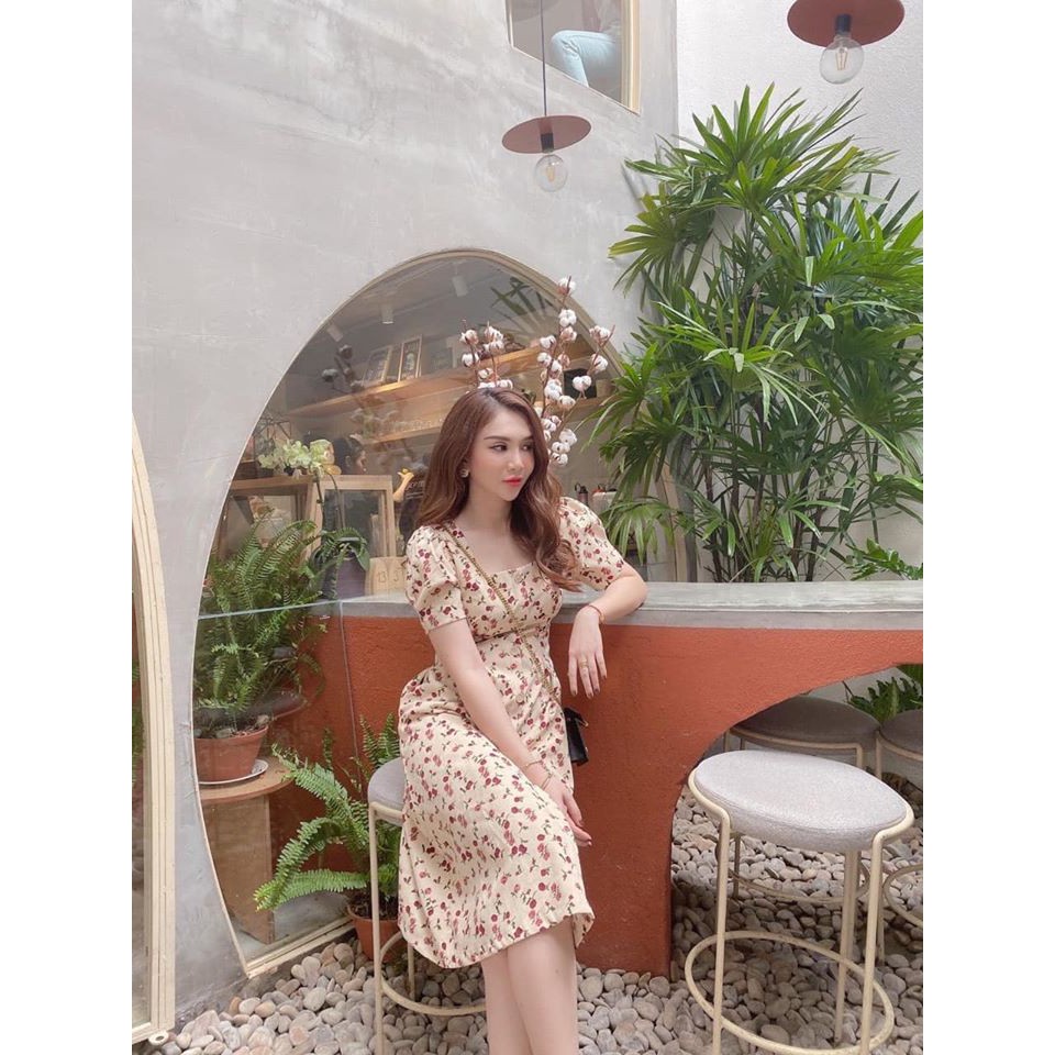 ĐẦM HOA NHÍ XINH XINH