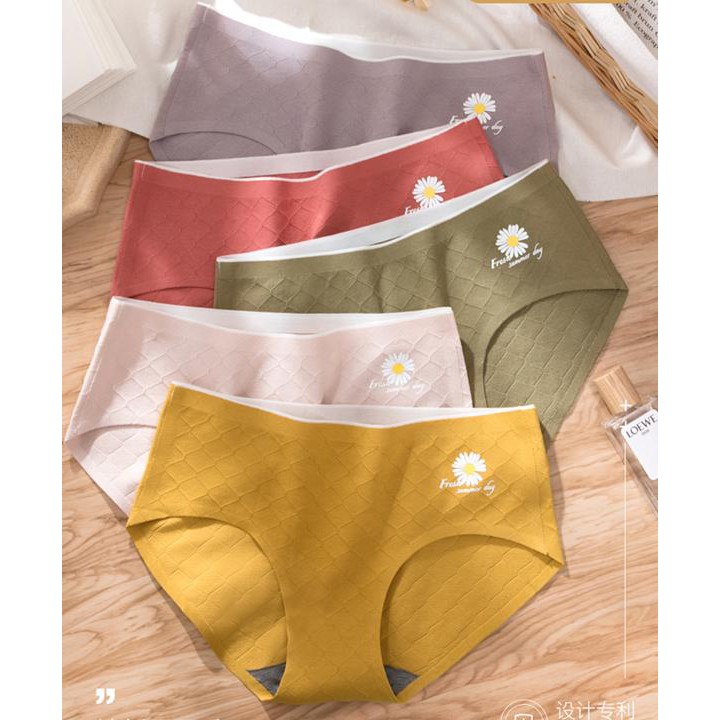 Quần lót nữ Cotton không viền Daisy hoa cúc vân thông hơi YiOn Underwear QC03