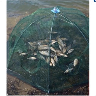 Lưới đánh bắt cá bát quái - 8 cửa