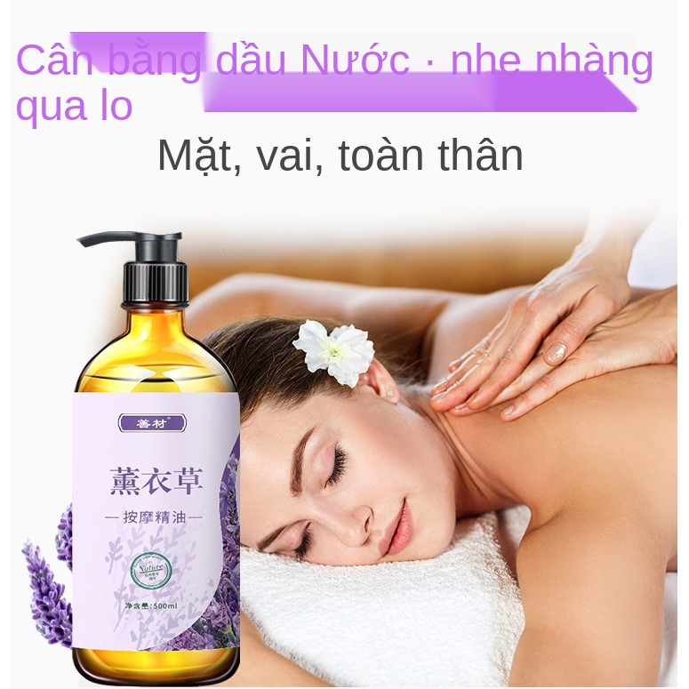 Tinh dầu massage Oải hương giúp đả thông kinh mạch, xông mặt và toàn thân, đẩy dầu, lưng, lạc, thẩm mỹ viện nói chu