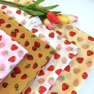 VẢI THÔ KATE 🍓V168