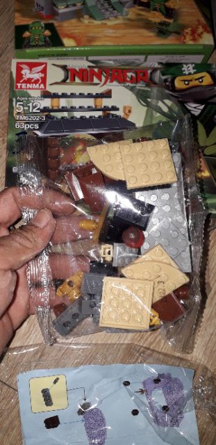 Lắp ráp Ngôi Đền Ninjago 6202