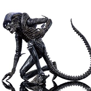 Mô hình NECA Alien Big Chap có sẵn