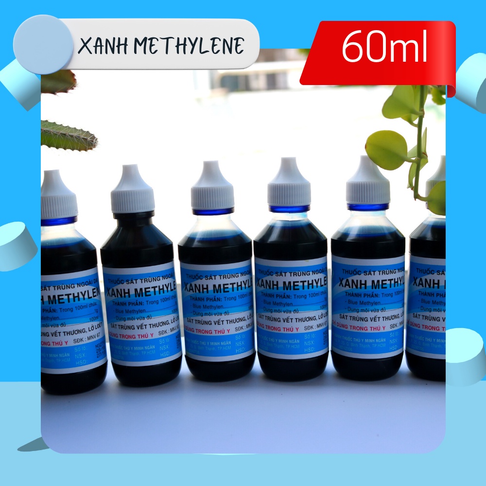 Xanh Methylen Chăm sóc cá cảnh