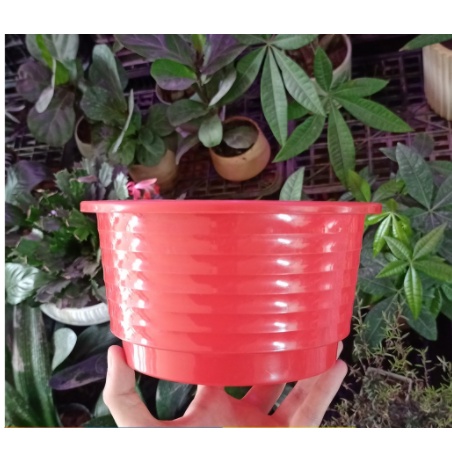 Chậu nhựa trồng hoa - cây cảnh Việt Nhật No.2217