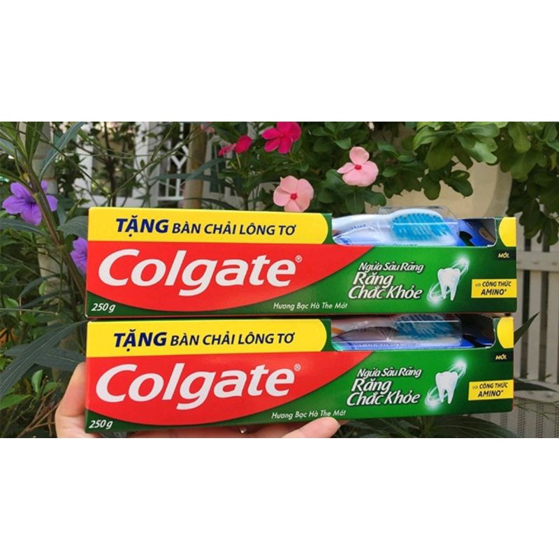 Kem đánh răng Colgate 225g ngừa sâu răng chắc khỏe, tặng bàn chải lông tơ giá không đổi